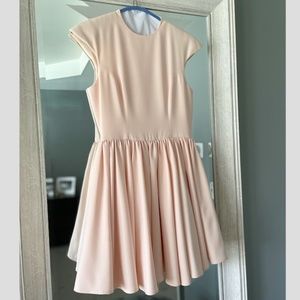 Cameo Flared Cap-Sleeve Dress In Blush